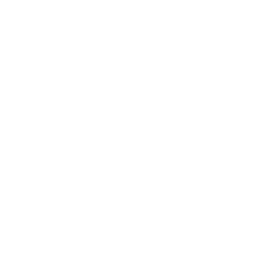 women owned business.png